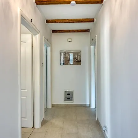 Galeb